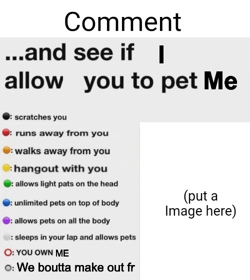 Comment and see if I allow you to pet me Blank Meme Template