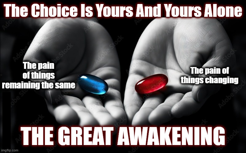 There's gonna be plenty to go around this coming year. | The Choice Is Yours And Yours Alone; The pain of things remaining the same; The pain of things changing; THE GREAT AWAKENING | image tagged in politics,red pill blue pill,maga,dark to light,2025,the great awakening | made w/ Imgflip meme maker