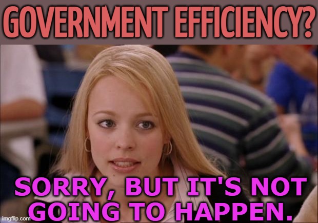 Government Efficiency? Sorry, But It's Not Going To Happen | GOVERNMENT EFFICIENCY? SORRY, BUT IT'S NOT
GOING TO HAPPEN. | image tagged in memes,its not going to happen,scumbag government,big government,evil government,donald trump | made w/ Imgflip meme maker