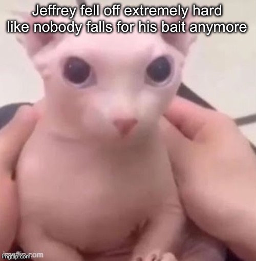 bingus | Jeffrey fell off extremely hard like nobody falls for his bait anymore | image tagged in bingus | made w/ Imgflip meme maker