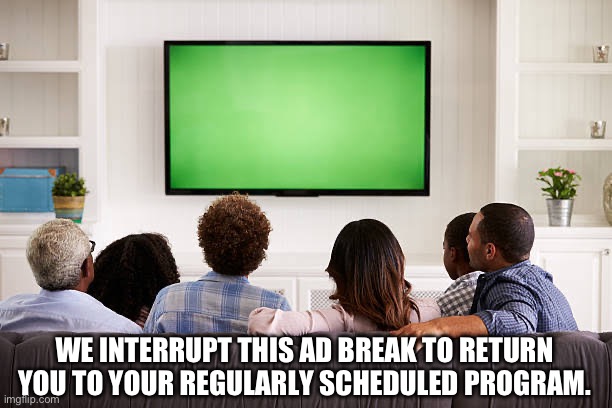 WE INTERRUPT THIS AD BREAK TO RETURN YOU TO YOUR REGULARLY SCHEDULED PROGRAM. | image tagged in people watching tv | made w/ Imgflip meme maker
