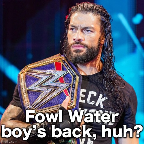 Roman Reigns | Fowl Water boy’s back, huh? | image tagged in roman reigns | made w/ Imgflip meme maker