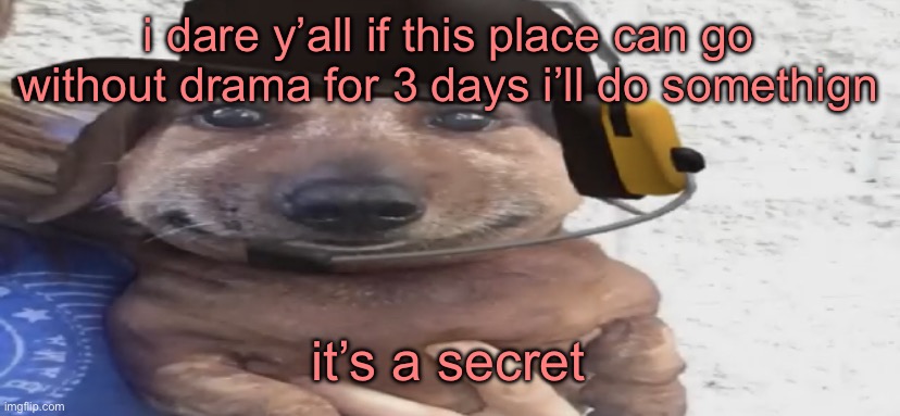 chucklenuts | i dare y’all if this place can go without drama for 3 days i’ll do somethign; it’s a secret | image tagged in chucklenuts | made w/ Imgflip meme maker