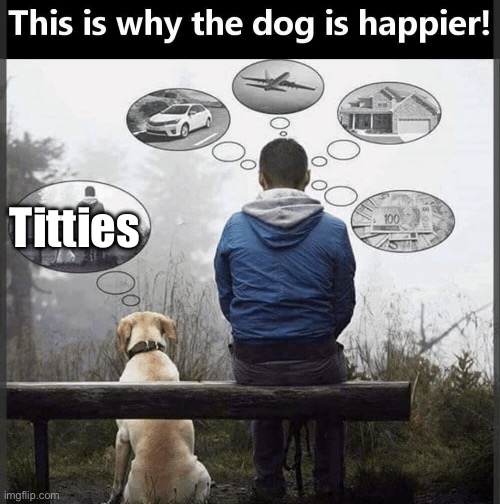 Titties | image tagged in why the dog is happier | made w/ Imgflip meme maker