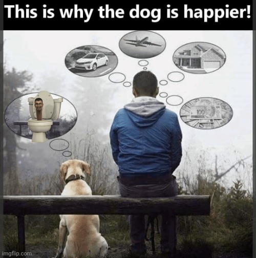 image tagged in why the dog is happier | made w/ Imgflip meme maker