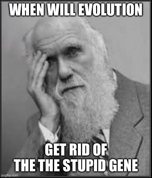 darwin facepalm | WHEN WILL EVOLUTION GET RID OF THE THE STUPID GENE | image tagged in darwin facepalm | made w/ Imgflip meme maker