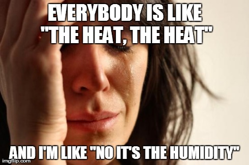 First World Problems Meme | EVERYBODY IS LIKE "THE HEAT, THE HEAT" AND I'M LIKE "NO IT'S THE HUMIDITY" | image tagged in memes,first world problems | made w/ Imgflip meme maker