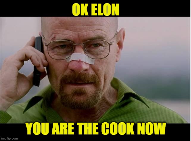 Just let the smart man keep cooking | OK ELON; YOU ARE THE COOK NOW | image tagged in diablo,tesla,spacex,doge,elon musk,breaking bad | made w/ Imgflip meme maker