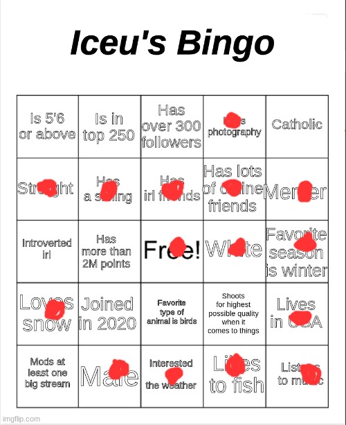 I got a bingo!!! | image tagged in iceu's bingo,bingo | made w/ Imgflip meme maker