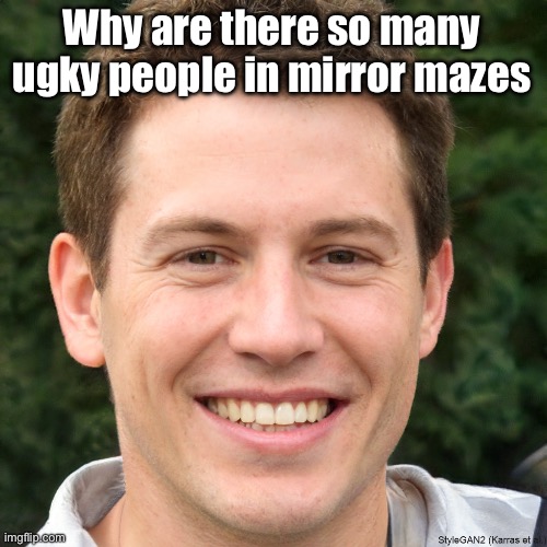 Ronald Anderson | Why are there so many ugky people in mirror mazes | image tagged in ronald anderson | made w/ Imgflip meme maker