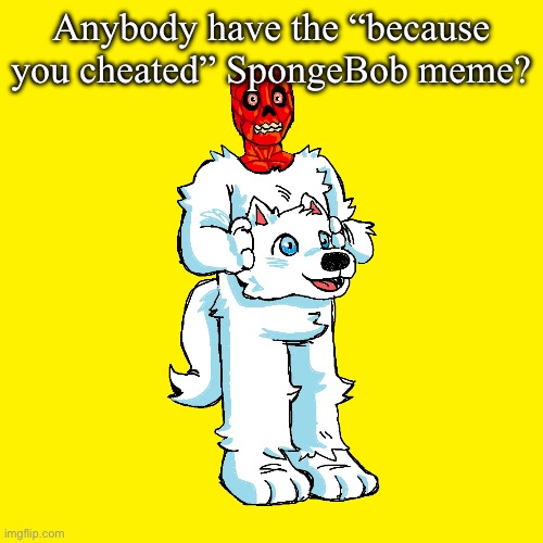 Vita mimic furry | Anybody have the “because you cheated” SpongeBob meme? | image tagged in vita mimic furry | made w/ Imgflip meme maker