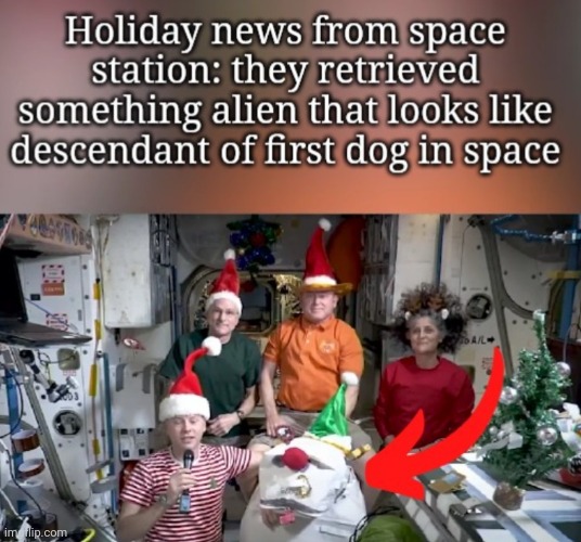 Possible Proof That First Dog Into Space Met Alien Life (or astronauts are bad at making Xmas decorations) | image tagged in space,dog,alien | made w/ Imgflip meme maker