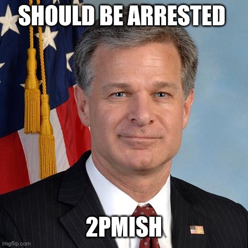 Day One; the ledger is full... | SHOULD BE ARRESTED; 2PMISH | image tagged in christopher wray appointed head of the fbi by donald trump | made w/ Imgflip meme maker