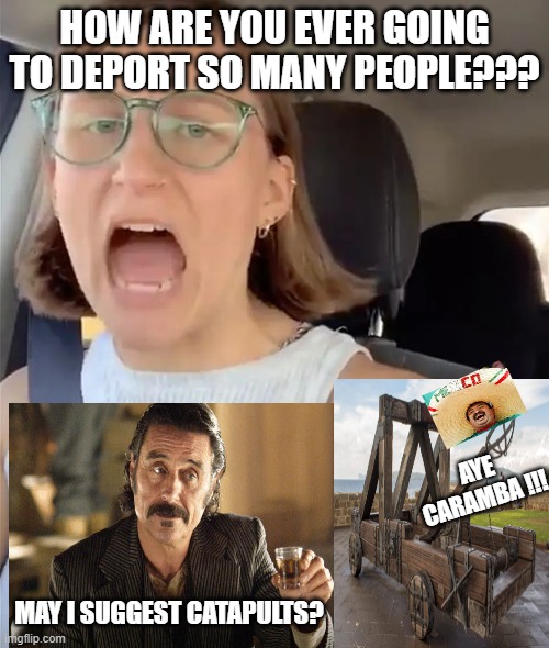 a million catapults outta do it | HOW ARE YOU EVER GOING TO DEPORT SO MANY PEOPLE??? AYE CARAMBA !!! MAY I SUGGEST CATAPULTS? | image tagged in unhinged liberal lunatic idiot woman meltdown screaming in car,funny memes,stupid liberals,silly,savage memes,political humor | made w/ Imgflip meme maker