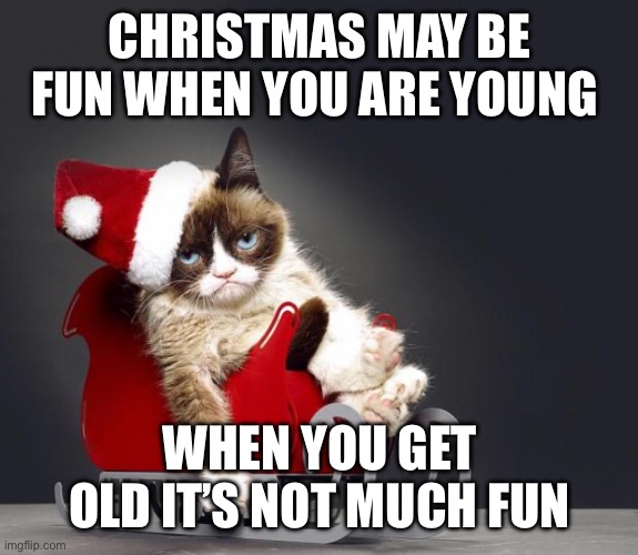 Grumpy Cat Christmas HD | CHRISTMAS MAY BE FUN WHEN YOU ARE YOUNG; WHEN YOU GET OLD IT’S NOT MUCH FUN | image tagged in grumpy cat christmas hd | made w/ Imgflip meme maker