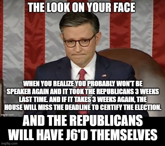 If there's no speaker, they can't certify the election | WHEN YOU REALIZE YOU PROBABLY WON'T BE SPEAKER AGAIN AND IT TOOK THE REPUBLICANS 3 WEEKS LAST TIME. AND IF IT TAKES 3 WEEKS AGAIN, THE HOUSE WILL MISS THE DEADLINE TO CERTIFY THE ELECTION. AND THE REPUBLICANS WILL HAVE J6'D THEMSELVES | image tagged in the look on your face | made w/ Imgflip meme maker