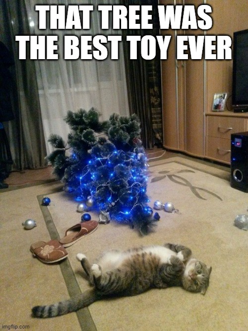 memes by Brad - That Christmas tree was the best toy ever, said the cat. | THAT TREE WAS THE BEST TOY EVER | image tagged in cats,kitten,christmas tree,merry christmas,toy,funny | made w/ Imgflip meme maker