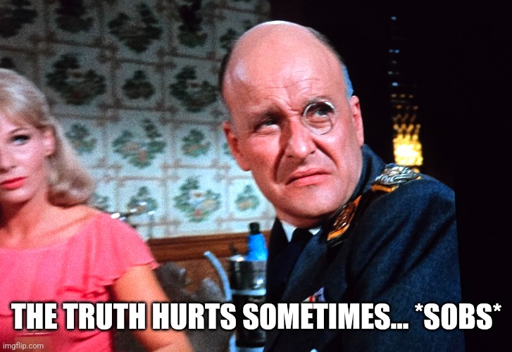 Colonel Klink Pout Face | THE TRUTH HURTS SOMETIMES… *SOBS* | image tagged in colonel klink pout face | made w/ Imgflip meme maker