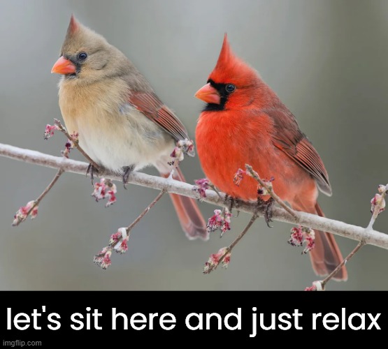 let's sit here and just relax | made w/ Imgflip meme maker