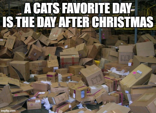 memes by Brad - Cats love the day after Christmas - boxes - | A CATS FAVORITE DAY IS THE DAY AFTER CHRISTMAS | image tagged in cats,kittens,christmas,boxes,funny,humor | made w/ Imgflip meme maker