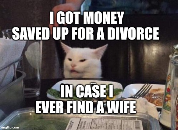 Smudge that darn cat | I GOT MONEY SAVED UP FOR A DIVORCE; IN CASE I EVER FIND A WIFE | image tagged in smudge that darn cat | made w/ Imgflip meme maker