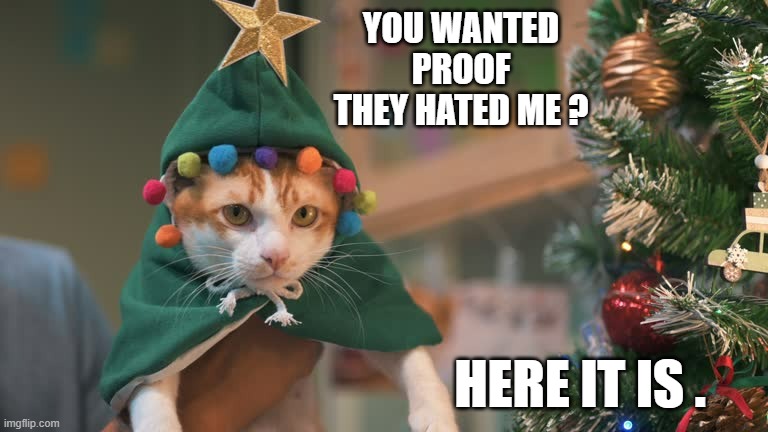 memes by Brad - cat gives proof that his human doesn't like him - Christmas | YOU WANTED PROOF THEY HATED ME ? HERE IT IS . | image tagged in cats,kittens,christmas,costume,funny,humor | made w/ Imgflip meme maker