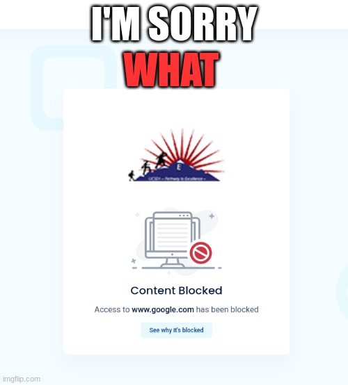 WHAT; I'M SORRY | image tagged in blocked | made w/ Imgflip meme maker