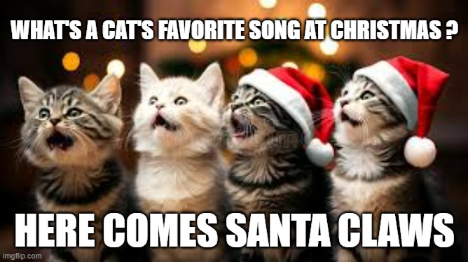 memes by Brad - A cats favorite song at Christmas: Here comes Santa Claws | WHAT'S A CAT'S FAVORITE SONG AT CHRISTMAS ? HERE COMES SANTA CLAWS | image tagged in cats,kittens,christmas,christmas songs,funny,humor | made w/ Imgflip meme maker