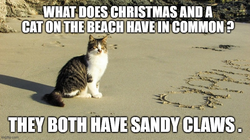 memes by Brad - What does a cat on the beach and Christmas have in common? | WHAT DOES CHRISTMAS AND A CAT ON THE BEACH HAVE IN COMMON ? THEY BOTH HAVE SANDY CLAWS . | image tagged in cats,kittens,santa claus,christmas,play on words,funny | made w/ Imgflip meme maker