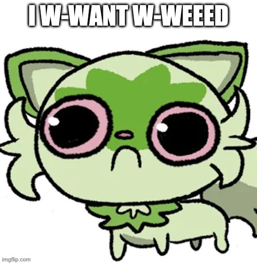 JKJKJK | I W-WANT W-WEEED | image tagged in weed cat | made w/ Imgflip meme maker