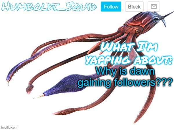 Humboldt_Squid Announcement Template | Why is dawn gaining followers??? | made w/ Imgflip meme maker