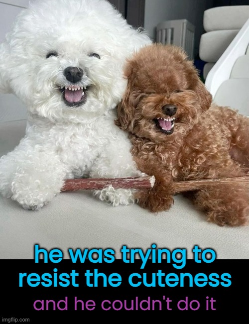 he was trying to resist the cuteness and he couldn't do it | made w/ Imgflip meme maker