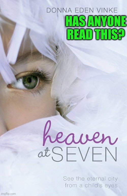 Has anyone read Heaven at Seven? | HAS ANYONE READ THIS? | image tagged in book cover,donna eden vinke,christian,heaven,jesus christ,god | made w/ Imgflip meme maker