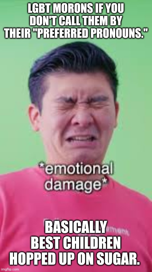 Steven He emotional damage | LGBT MORONS IF YOU DON'T CALL THEM BY THEIR "PREFERRED PRONOUNS." BASICALLY BEST CHILDREN HOPPED UP ON SUGAR. | image tagged in steven he emotional damage | made w/ Imgflip meme maker