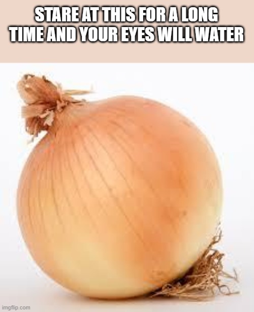 sstttttaaarrrre | STARE AT THIS FOR A LONG TIME AND YOUR EYES WILL WATER | image tagged in onion,water,ice cream | made w/ Imgflip meme maker