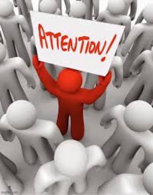 attention seeker | image tagged in attention seeker | made w/ Imgflip meme maker
