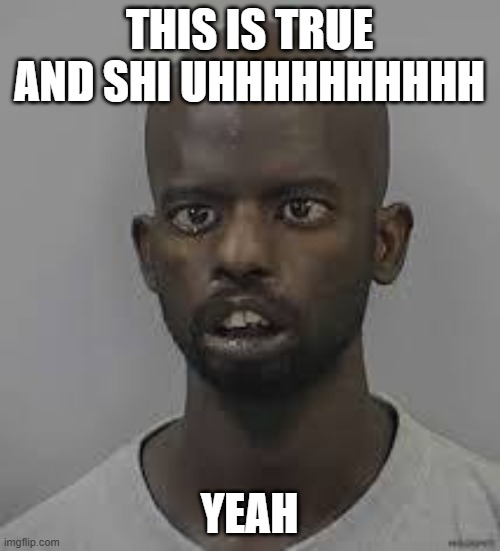 durrr | THIS IS TRUE AND SHI UHHHHHHHHHH YEAH | image tagged in durrr | made w/ Imgflip meme maker