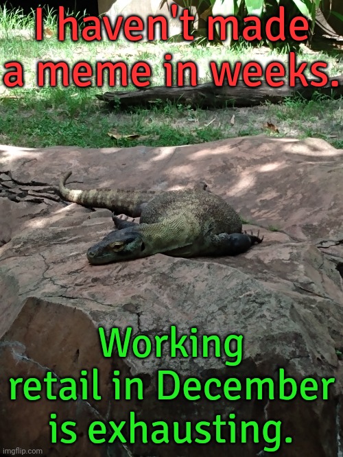 The store is closed today. | I haven't made a meme in weeks. Working retail in December is exhausting. | image tagged in exhausted komodo dragon,labor,job,christmas shopping | made w/ Imgflip meme maker