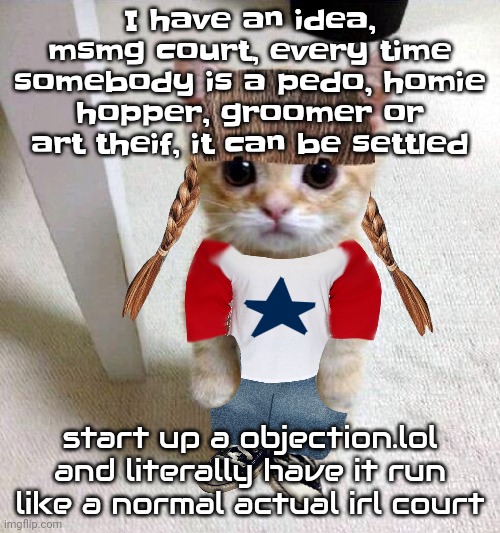 Nyami | I have an idea, msmg court, every time somebody is a pedo, homie hopper, groomer or art theif, it can be settled; start up a objection.lol and literally have it run like a normal actual irl court | image tagged in nyami | made w/ Imgflip meme maker