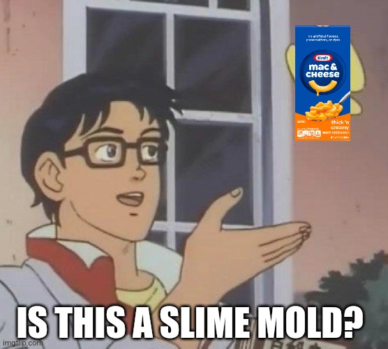 Is This A Pigeon Meme | IS THIS A SLIME MOLD? | image tagged in memes,is this a pigeon | made w/ Imgflip meme maker