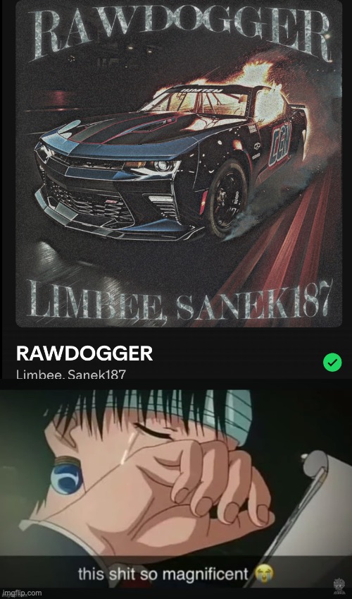 RAWDOGGWUR! | image tagged in memes,true,music,phonk,rawdogger,limbee-sanek | made w/ Imgflip meme maker