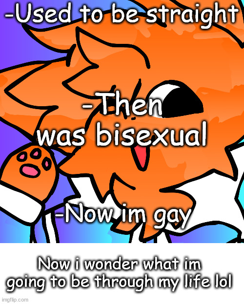 Has anyone else been through the same? Being a furry has changed me a lot! | -Used to be straight; -Then was bisexual; -Now im gay; Now i wonder what im going to be through my life lol | image tagged in meow,gay,straight,bisexual,lgbtq | made w/ Imgflip meme maker