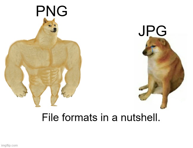 Buff Doge vs. Cheems Meme | PNG; JPG; File formats in a nutshell. | image tagged in memes,buff doge vs cheems | made w/ Imgflip meme maker