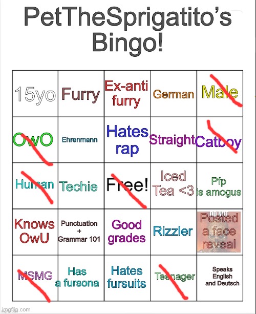 PetTheSprigatito’s bingo! | image tagged in petthesprigatito s bingo | made w/ Imgflip meme maker