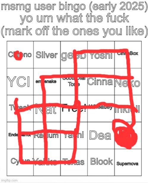 The ones that aren’t marked off, idk them | image tagged in msmg user bingo christmas 2024 | made w/ Imgflip meme maker