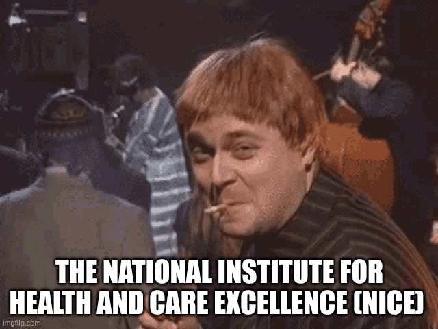 the National Institute for Health and Care Excellence (Nice) | THE NATIONAL INSTITUTE FOR HEALTH AND CARE EXCELLENCE (NICE) | image tagged in ya like jazz | made w/ Imgflip meme maker