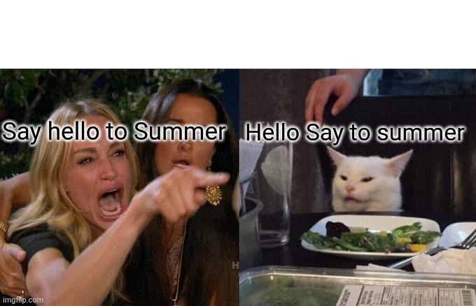 Woman Yelling At Cat Meme | Say hello to Summer Hello Say to summer | image tagged in memes,woman yelling at cat | made w/ Imgflip meme maker