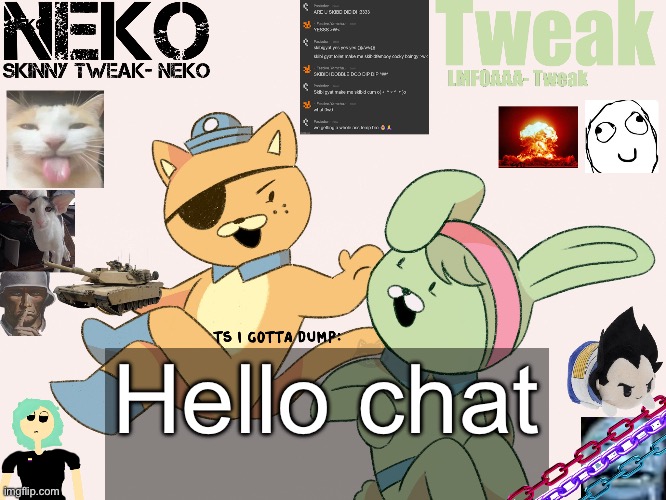 Tweak and Neko Shared temp | Hello chat | image tagged in tweak and neko shared temp | made w/ Imgflip meme maker