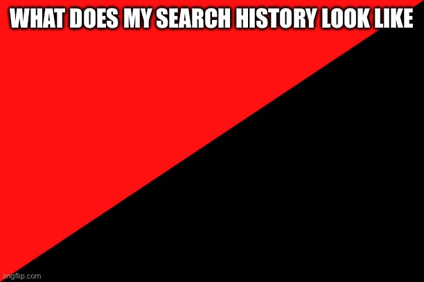 Ancom flag | WHAT DOES MY SEARCH HISTORY LOOK LIKE | image tagged in ancom flag | made w/ Imgflip meme maker