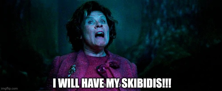 Umbridge - I WILL HAVE ORDER! | I WILL HAVE MY SKIBIDIS!!! | image tagged in umbridge - i will have order | made w/ Imgflip meme maker